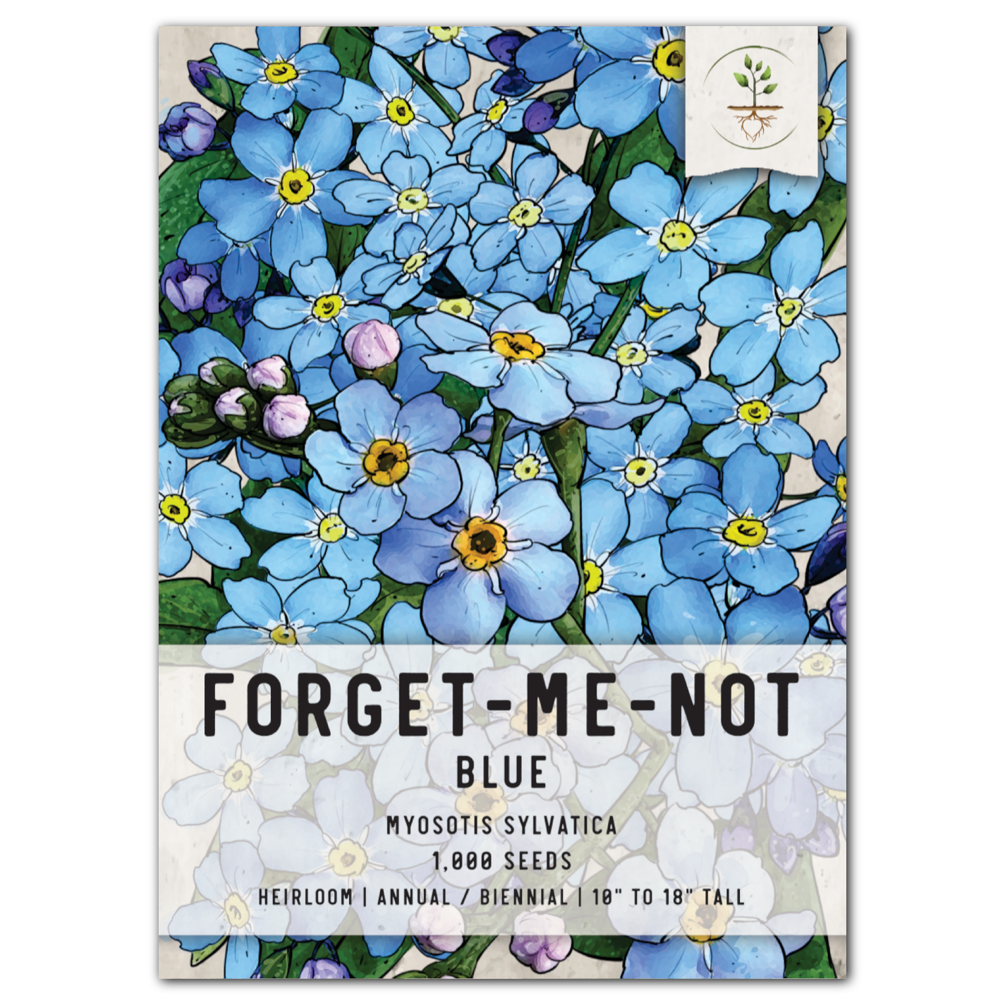  Forget Me Not Seeds for Planting - Myosotis Sylvatica Memorial  and Funeral Seeds for Remembrance Beautiful Blue Perennial Forget Me Not  Flowers Open Pollinated for Flower Gardens by Gardeners Basics 