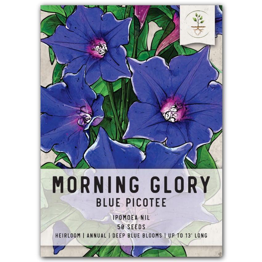 morning glory seeds heavenly blue trip