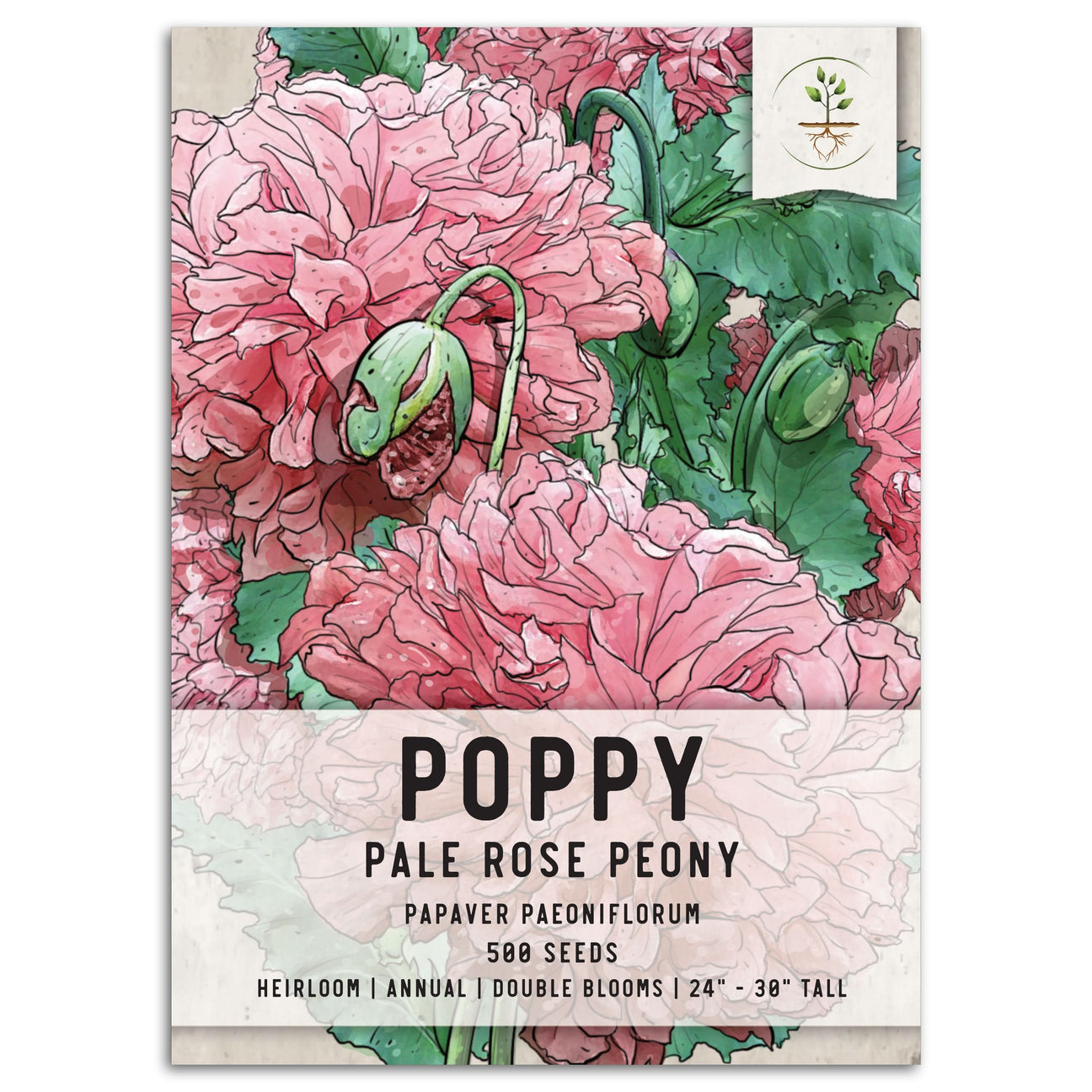 Poppy Seeds For Planting (Papaver) - Seed Needs – Seed Needs LLC