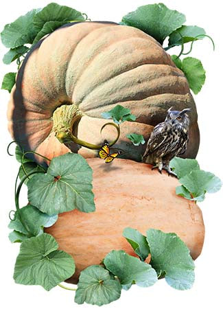 Harvest Pumpkin Art Print, Watercolor Painting, Seasonal Wall Decor - Etsy