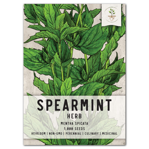 Mint - Spearmint (Green) seeds - Heirloom Seeds Canada