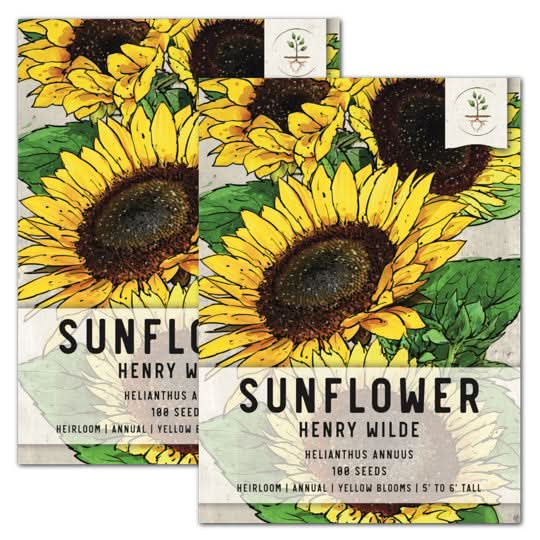 Henry Wilde Sunflower Seed For Planting (Helianthus annuus) Seed Needs ...