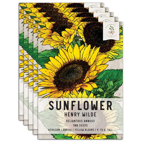 – (Helianthus Planting Seed Wilde For Needs Needs Sunflower Seed Henry Seed LLC annuus)