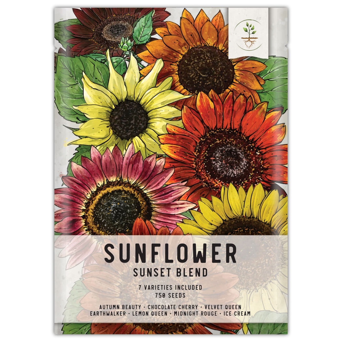 Sunset Blend Sunflower Seeds For Planting (helianthus Annuus) 7 Types 