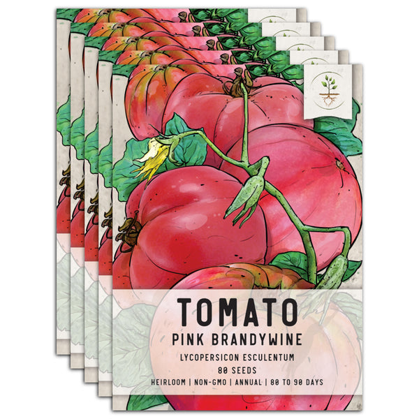 Pink Brandywine Tomato Seeds, NON-GMO, ORGANIC, HEIRLOOM
