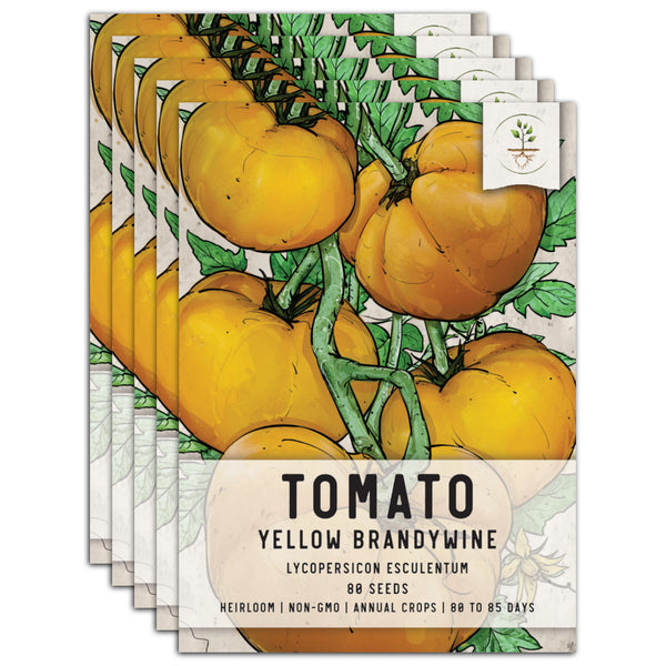 Yellow Brandywine Platfoot Strain Tomato – Tomato Growers Supply Company