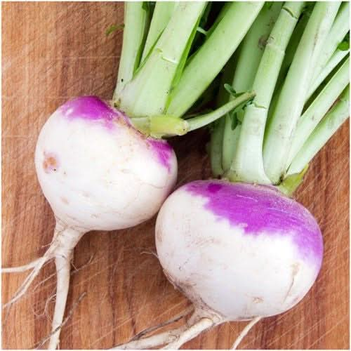 Purple Top White Globe Turnip Seeds For Planting Brassica rapa